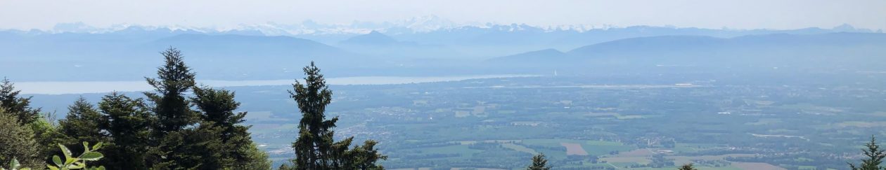 The Activity Factory