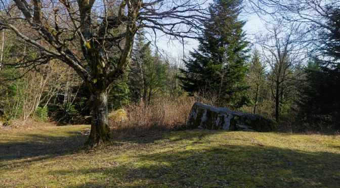 France: Les Pierres des Cupules in St. Jean de Gonville
